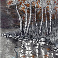 Nature Reflections